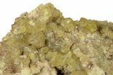 Yellow Topazolite Garnet Cluster - Mexico #175097-1